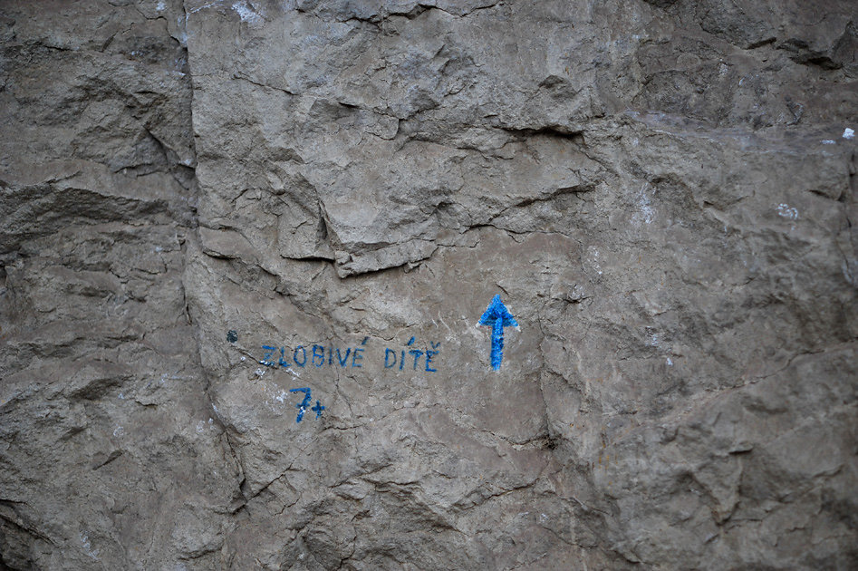 DSC-4697.jpg