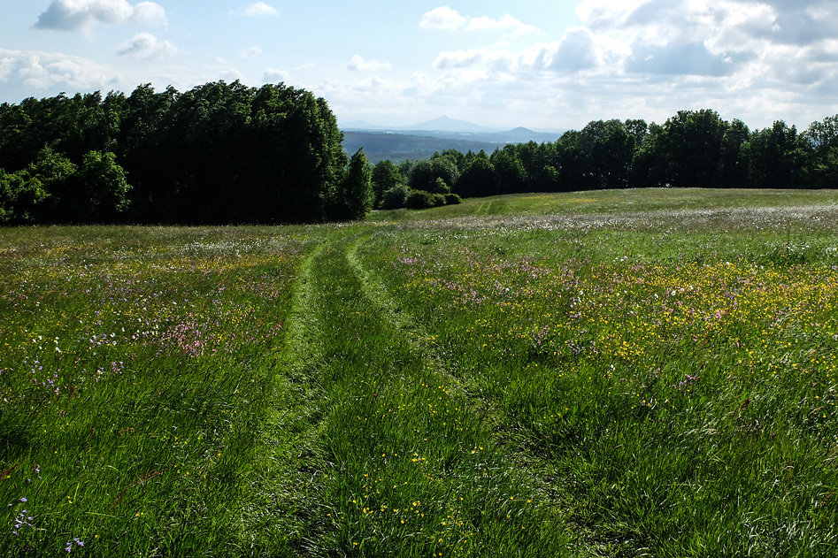 DSCF9528.jpg