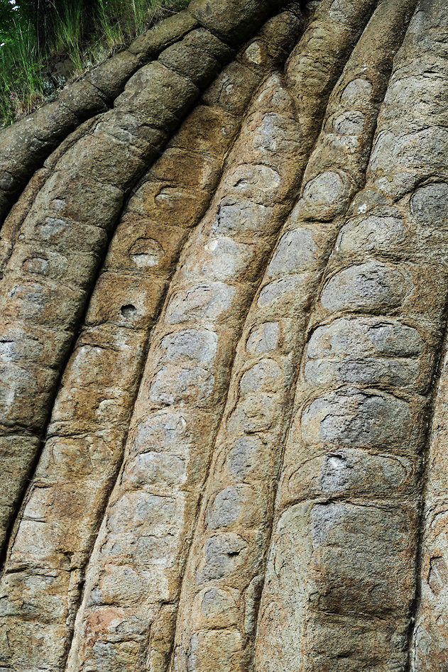 DSCF9571.jpg