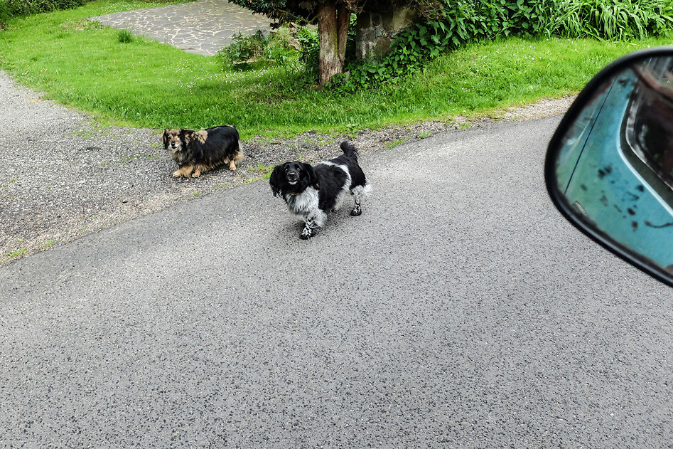 DSCF9588.jpg
