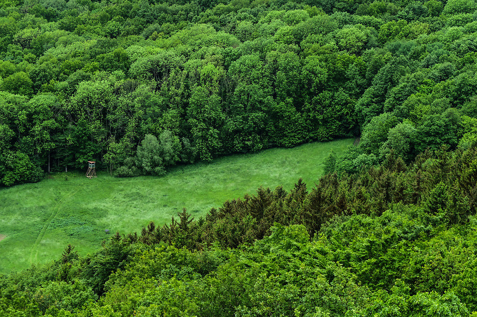DSCF9620.jpg