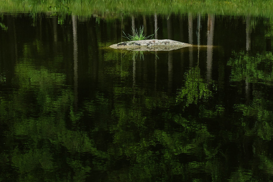 DSCF9868.jpg
