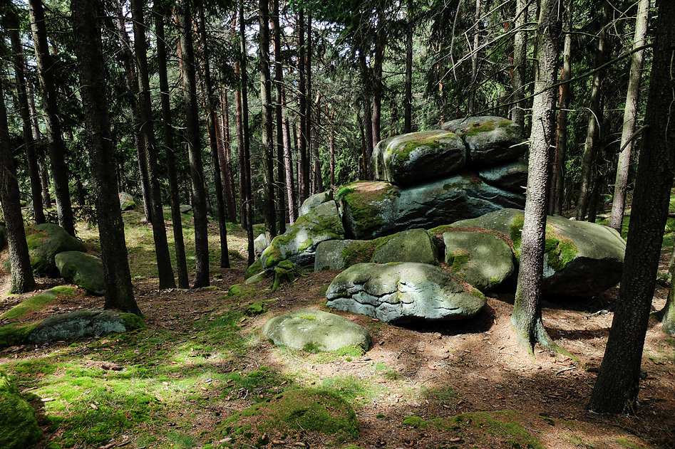 DSCF9877.jpg