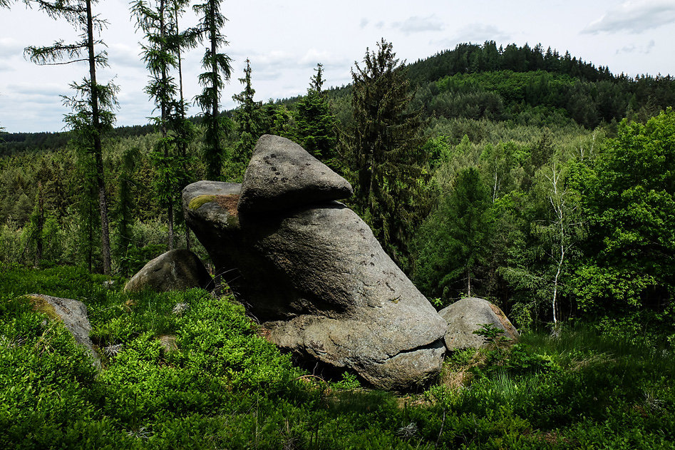 DSCF9904.jpg