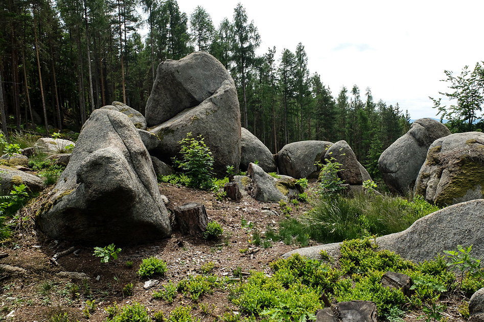 DSCF9905.jpg