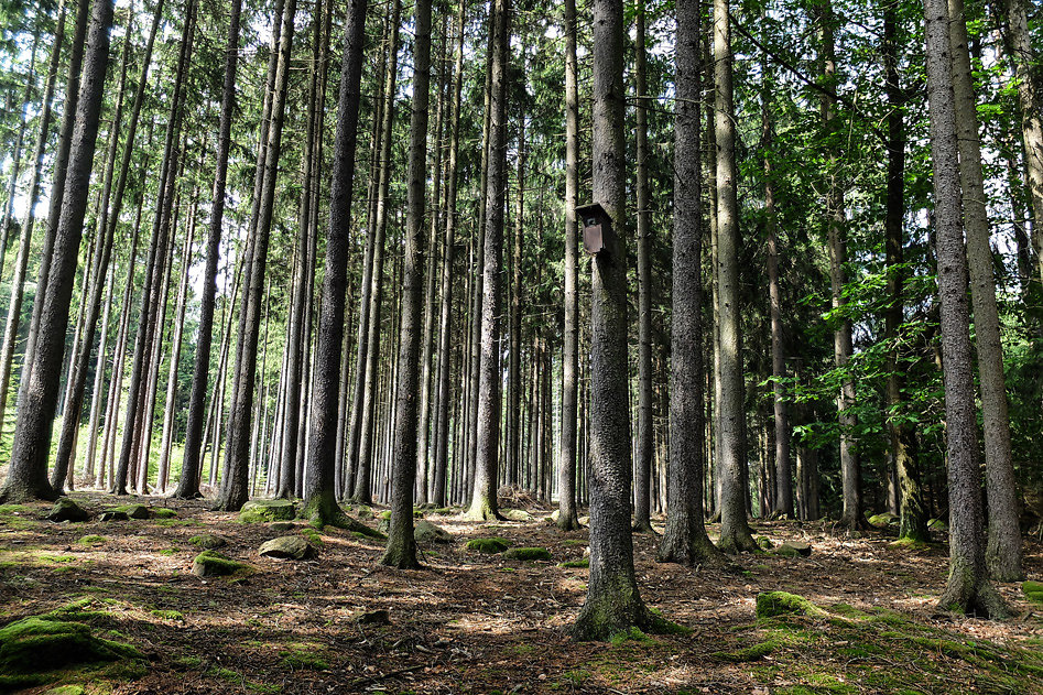 DSCF0174.jpg