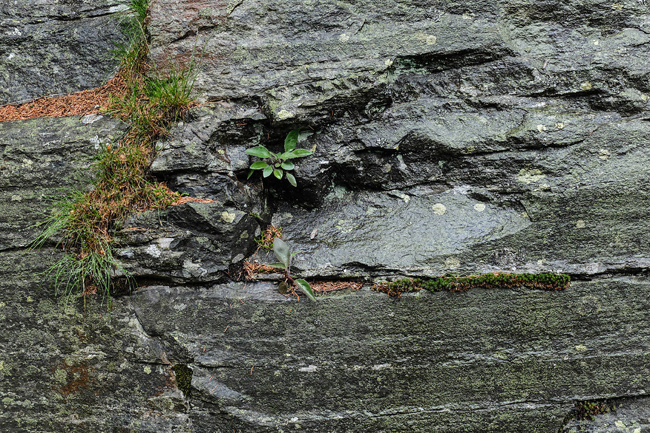 DSCF0417.jpg