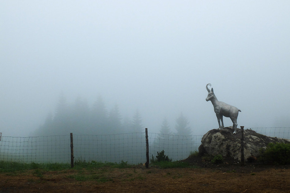 DSCF0430.jpg