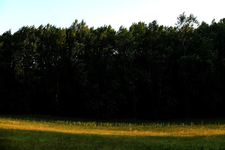 DSCF0628-2.jpg