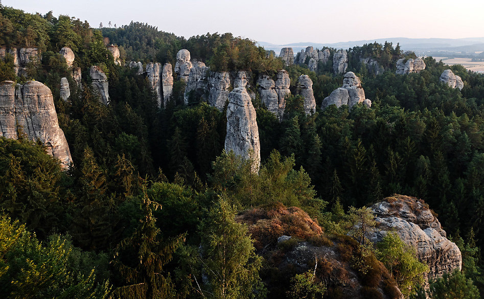 DSCF0737-2.jpg