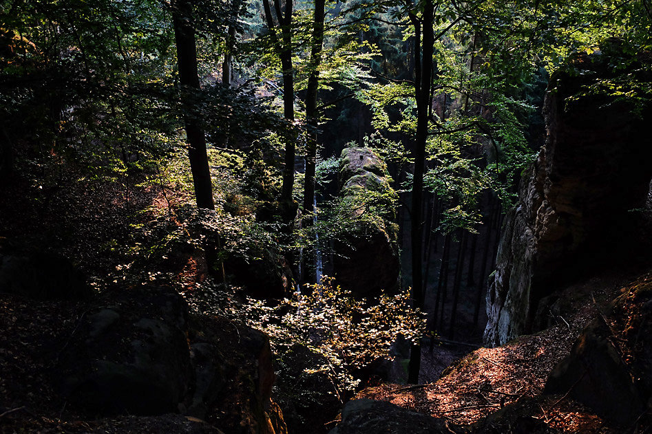 DSCF0747-2.jpg