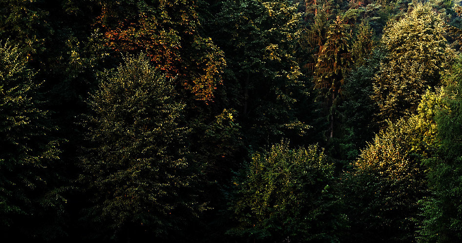 DSCF0749-2.jpg