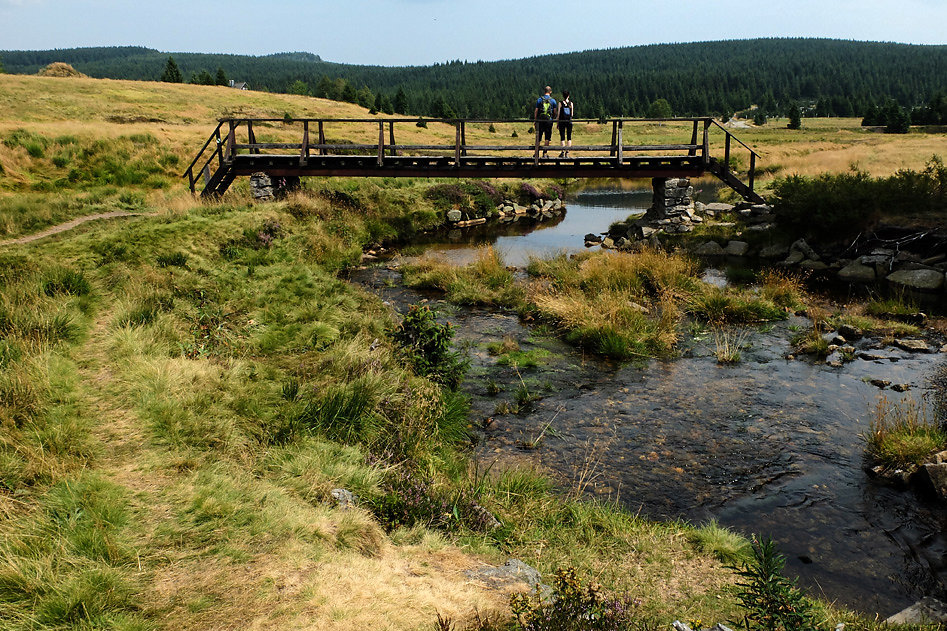 DSCF0809-2.jpg