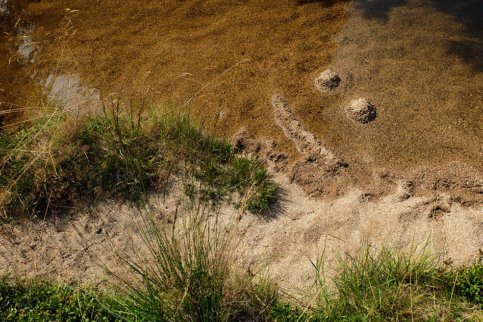 DSCF0832-2.jpg