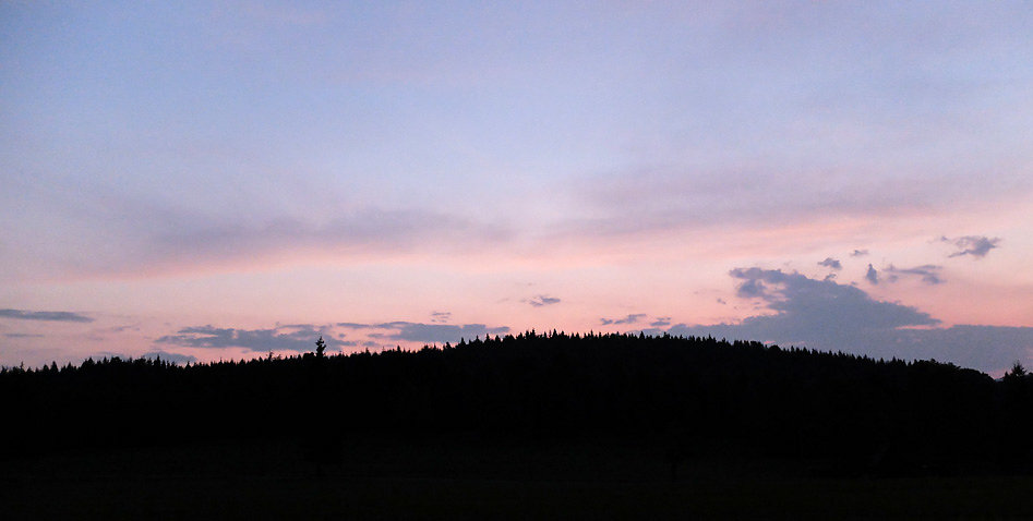 DSCF0956-2.jpg
