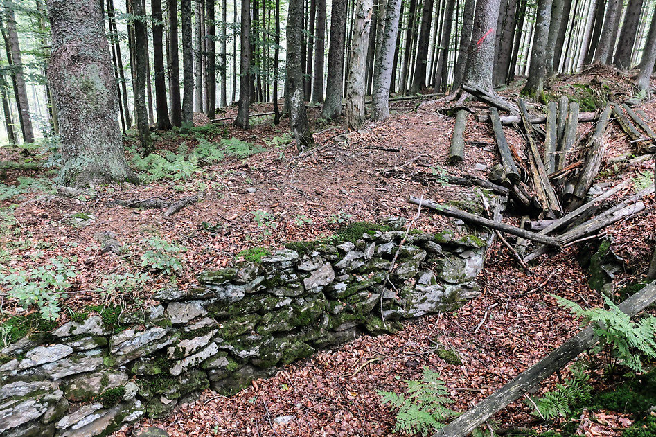 DSCF1285.jpg