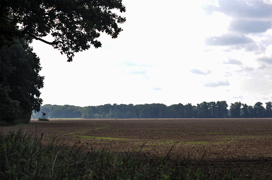 DSC-9815.jpg