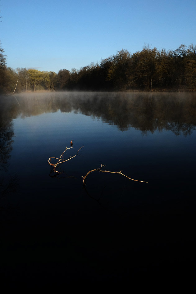 DSCF2481.jpg