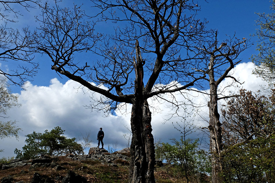 DSCF2550.jpg