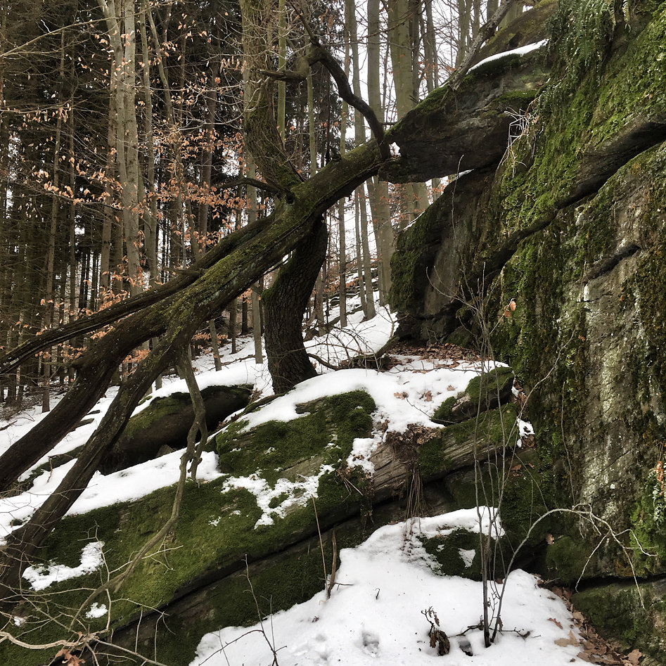 2017-02-09-124222-2.jpg
