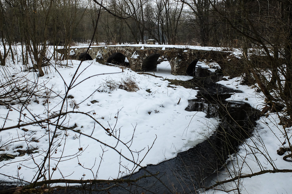 DSCF4271.jpg
