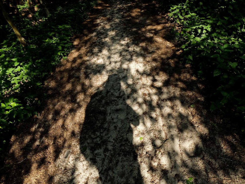 20180418-web-5538.jpg