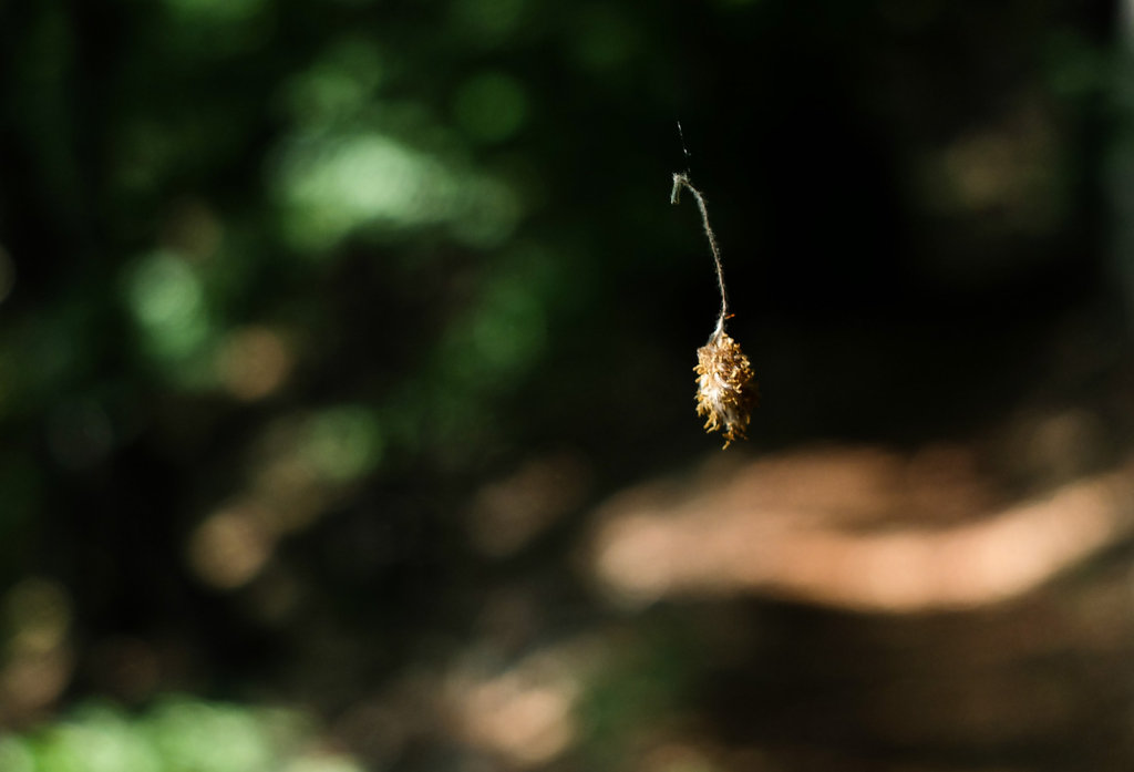 20180418-web-5552.jpg