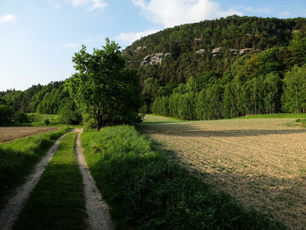 20180418-web-5568.jpg