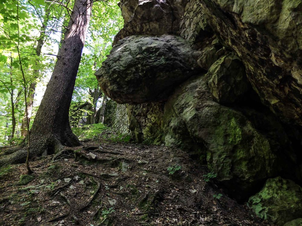20180418-web-5596.jpg