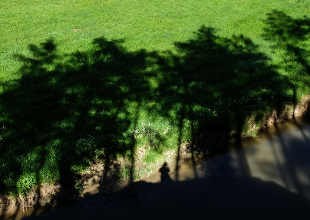 20180418-web-5662.jpg