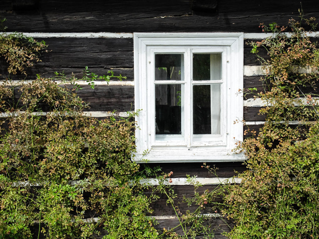 DSCF6138.jpg