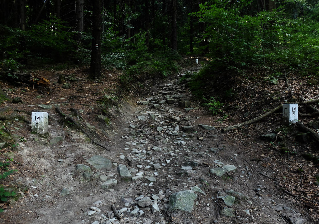 DSCF6158.jpg