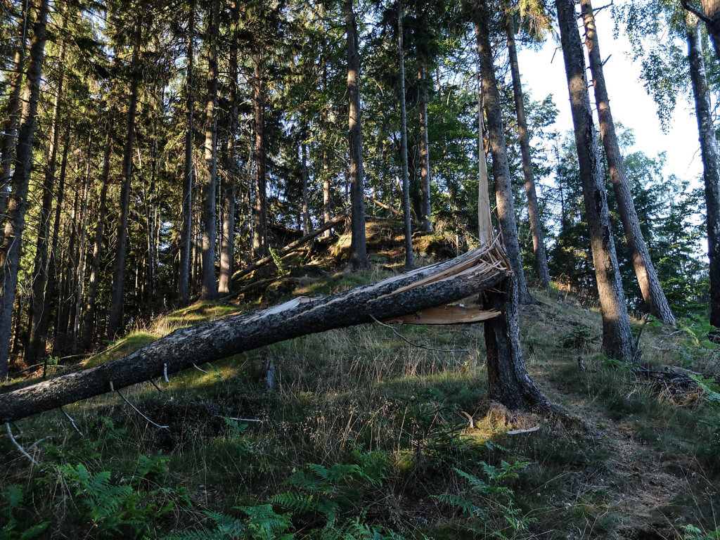 DSCF6243.jpg