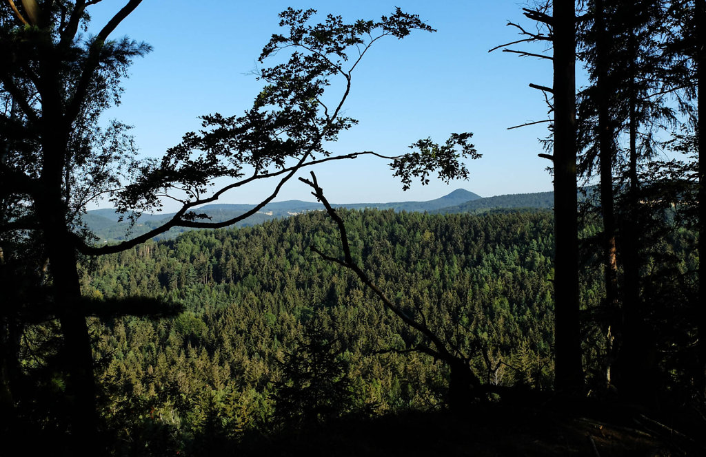 DSCF6245.jpg