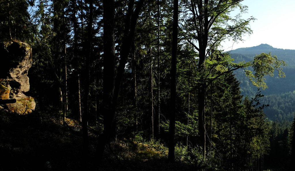 DSCF6251.jpg