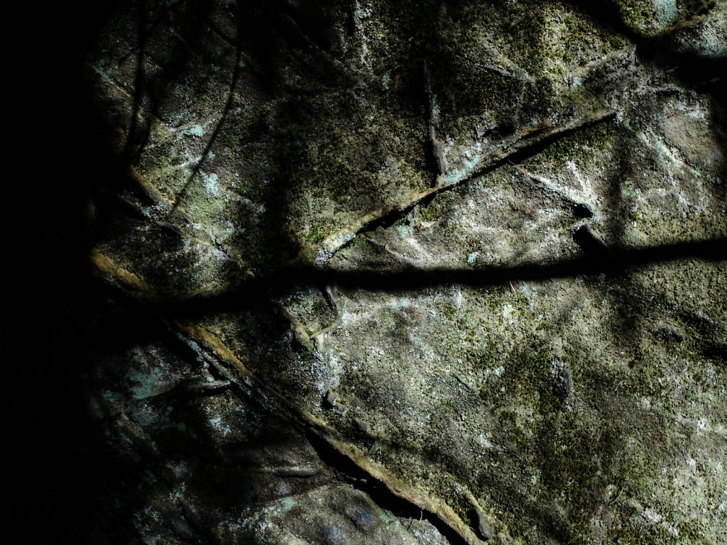 DSCF6260.jpg