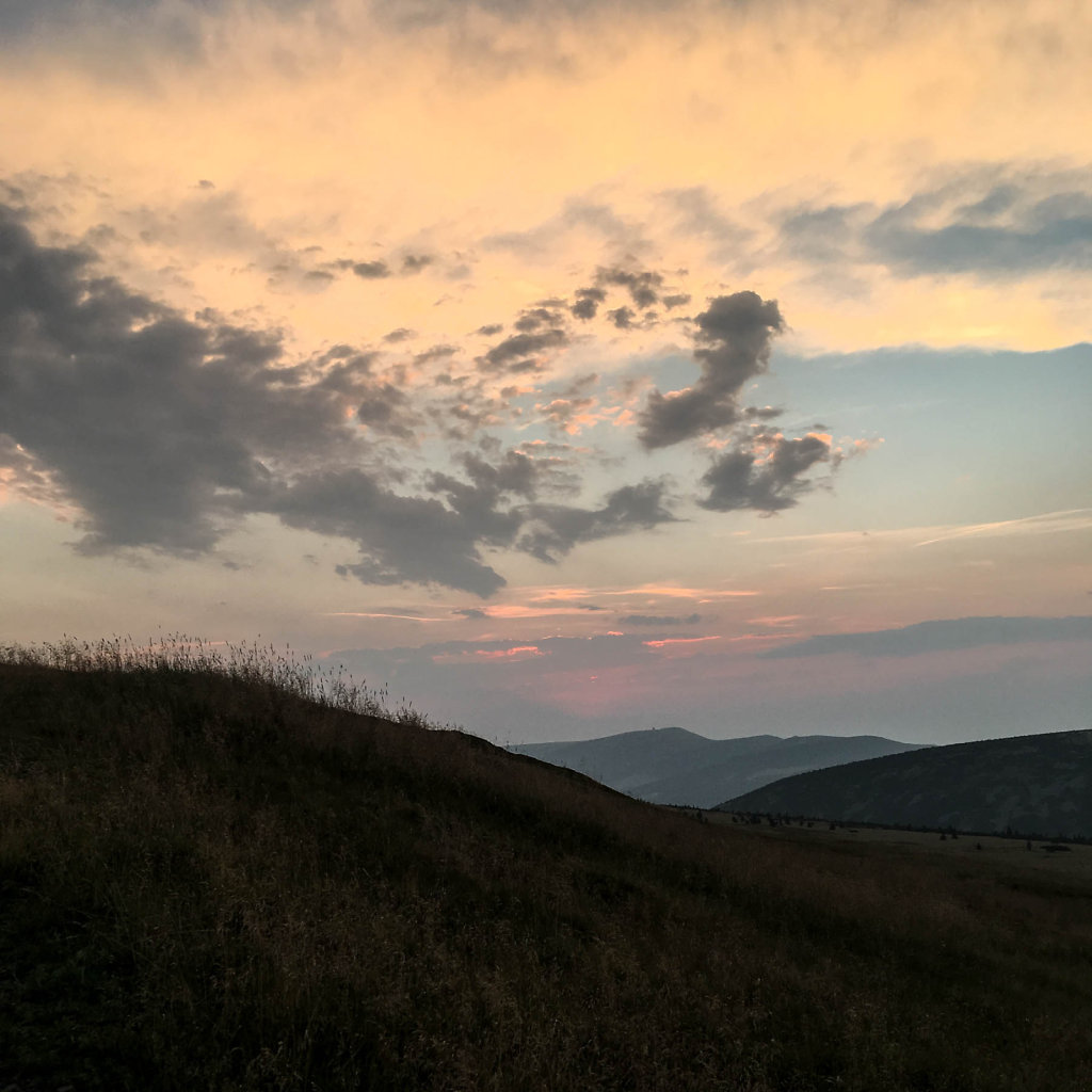 2018-08-04-203238.jpg