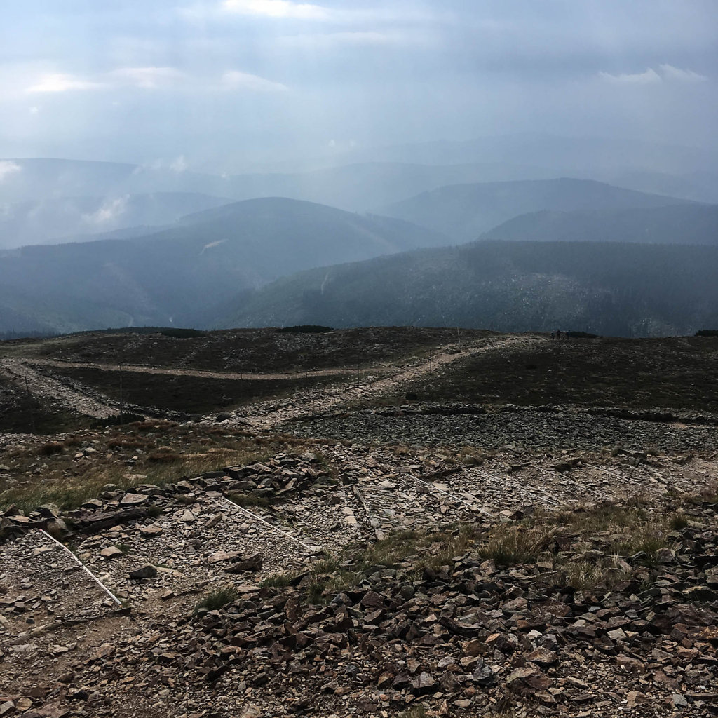 2018-08-05-100017.jpg