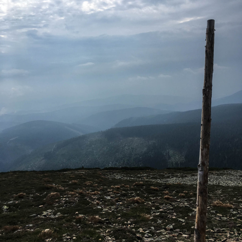 2018-08-05-100533-2.jpg