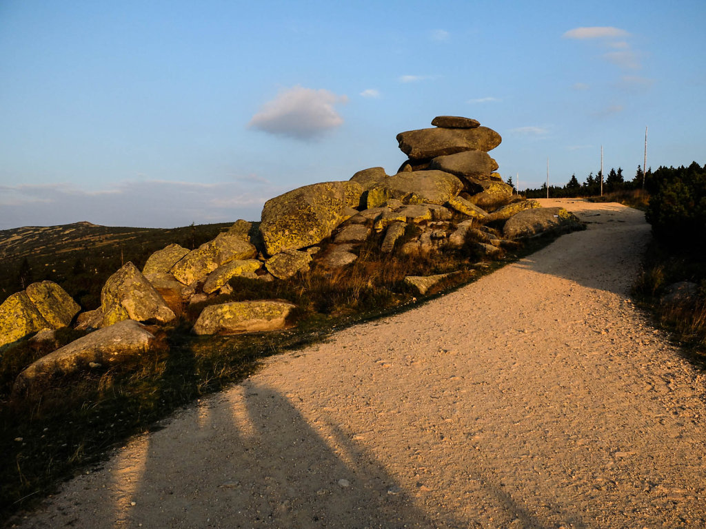 DSCF6323.jpg