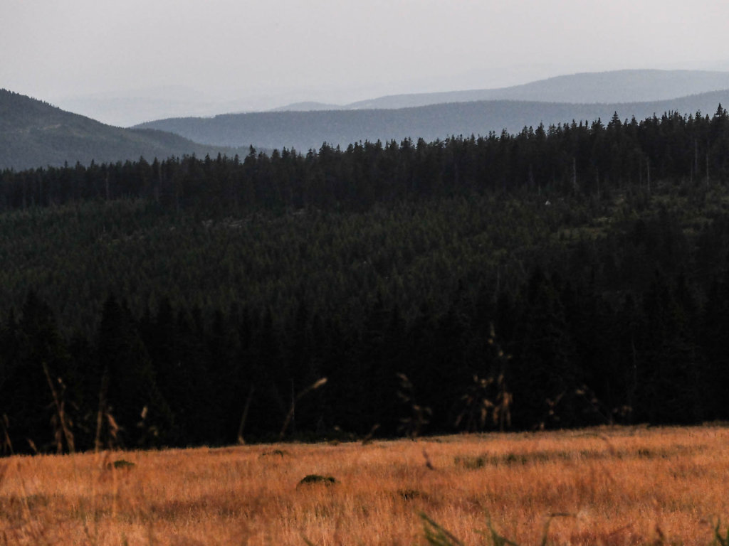 DSCF6359.jpg