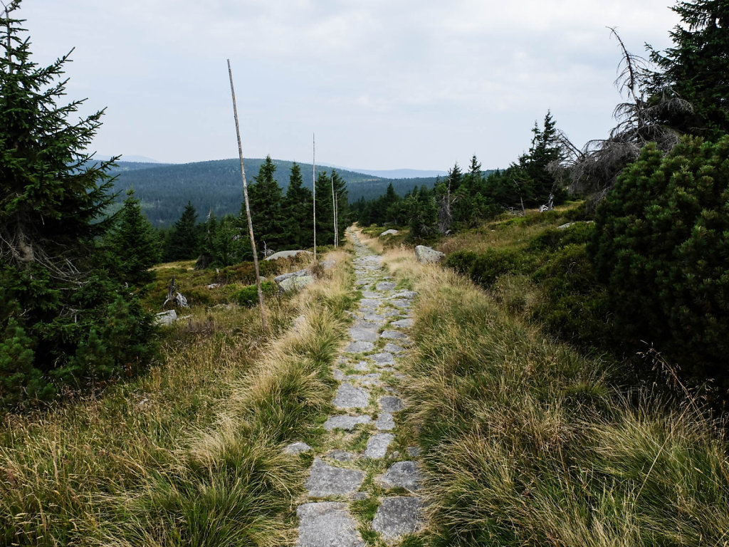 DSCF6371.jpg