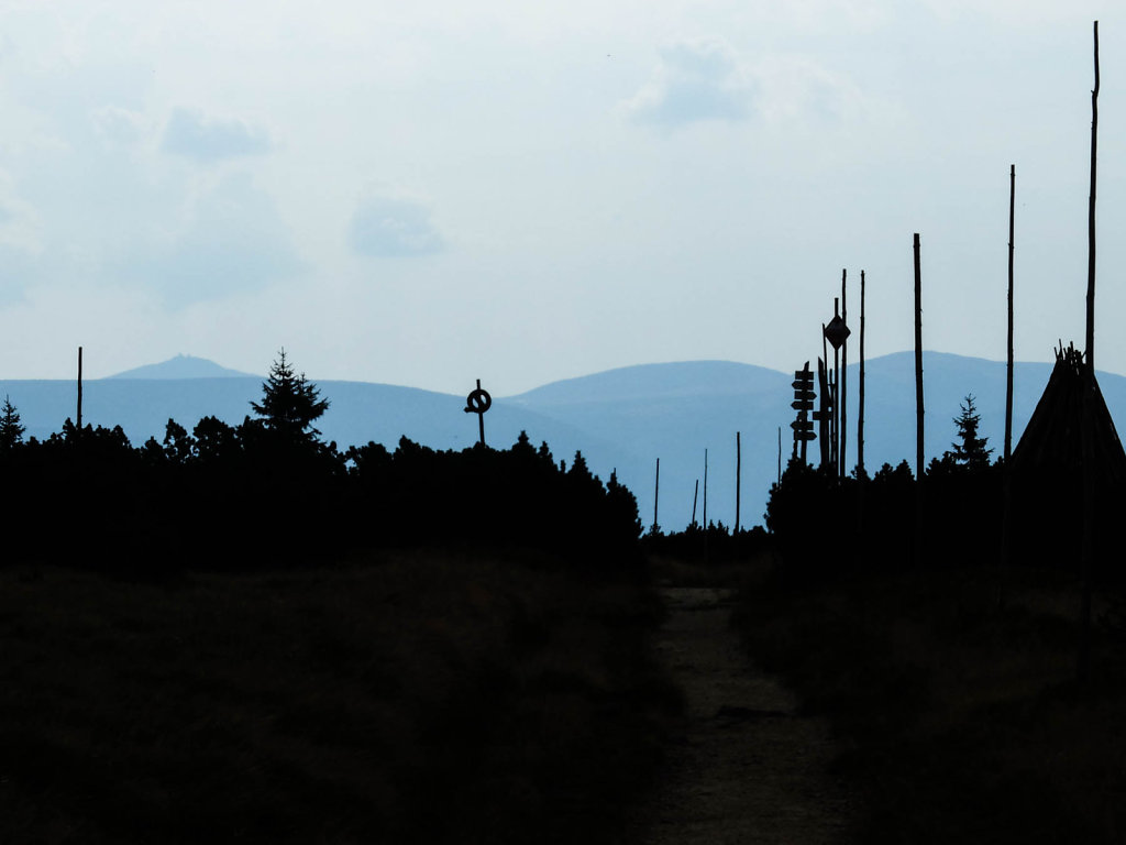 DSCF6375.jpg