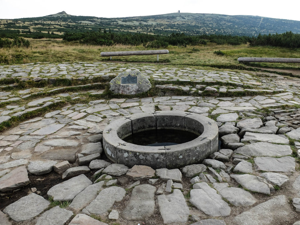 DSCF6378.jpg