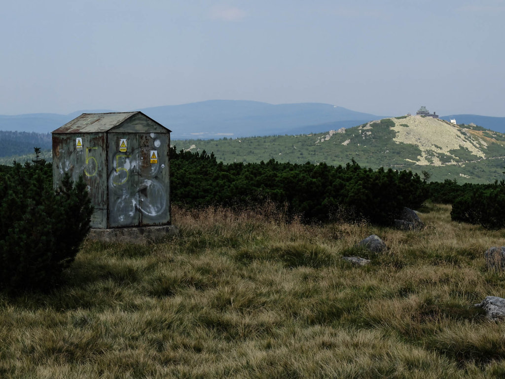 DSCF6385.jpg