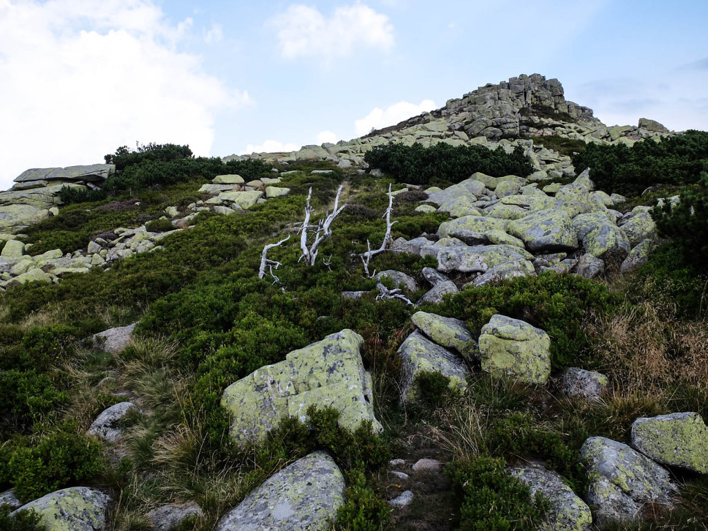DSCF6392.jpg