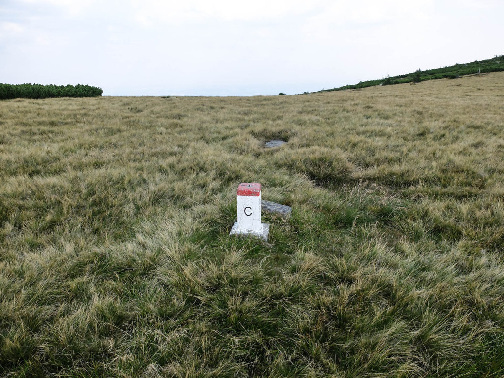 DSCF6394.jpg