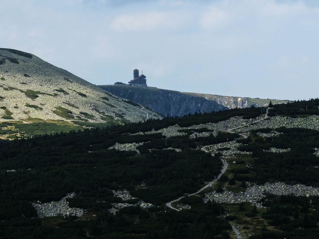 DSCF6418.jpg