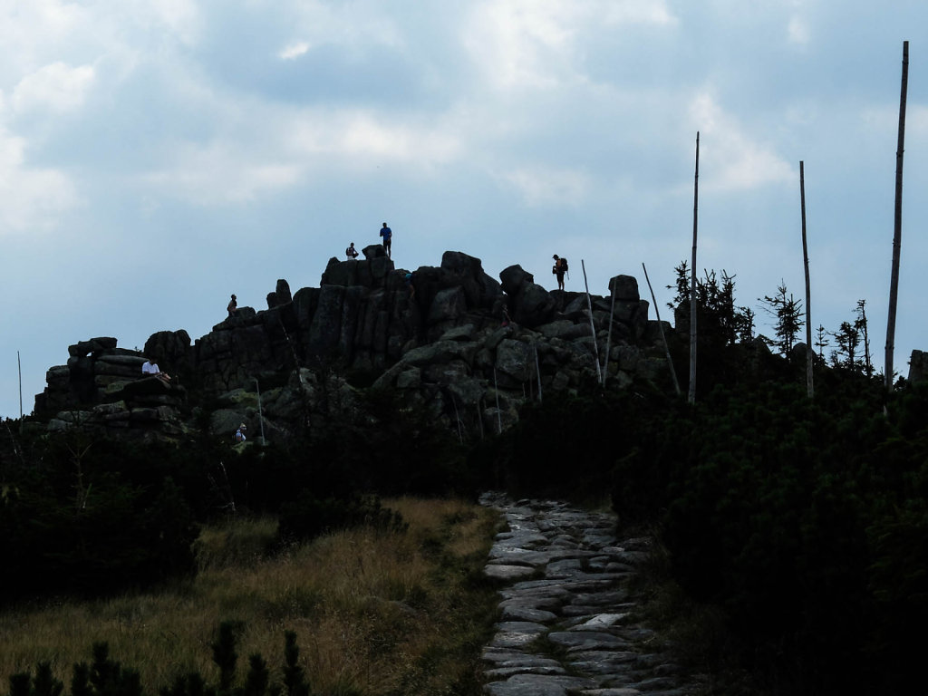 DSCF6419.jpg