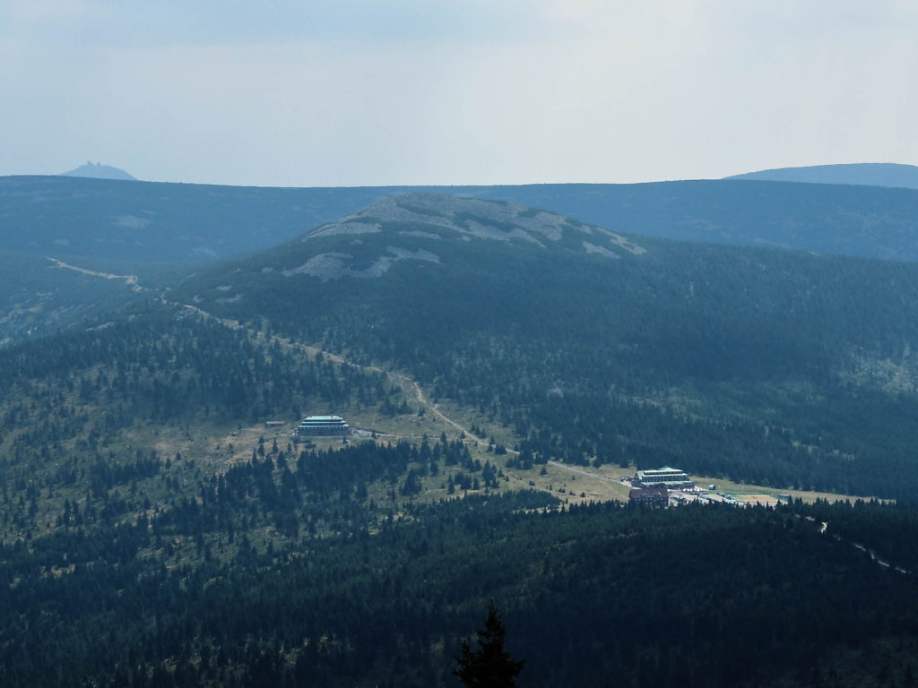 DSCF6435.jpg